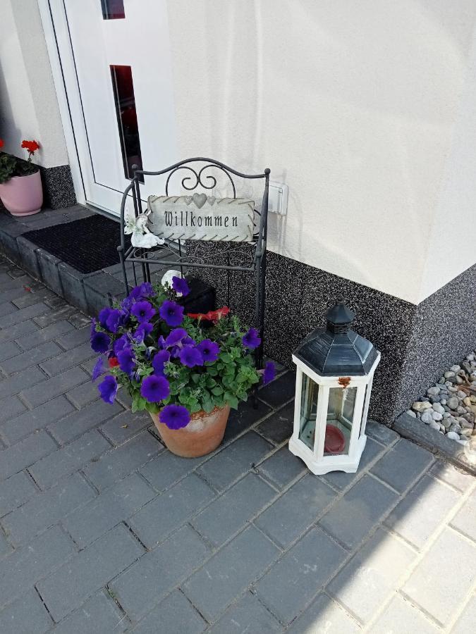 Ferienzimmer Waldzauber Borkwalde Kültér fotó