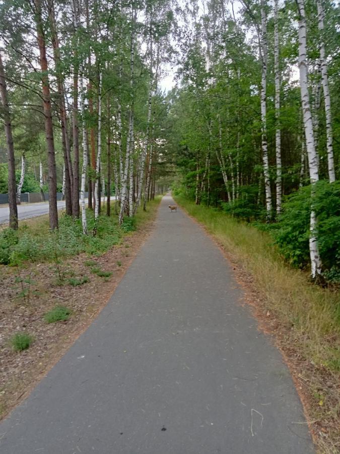 Ferienzimmer Waldzauber Borkwalde Kültér fotó