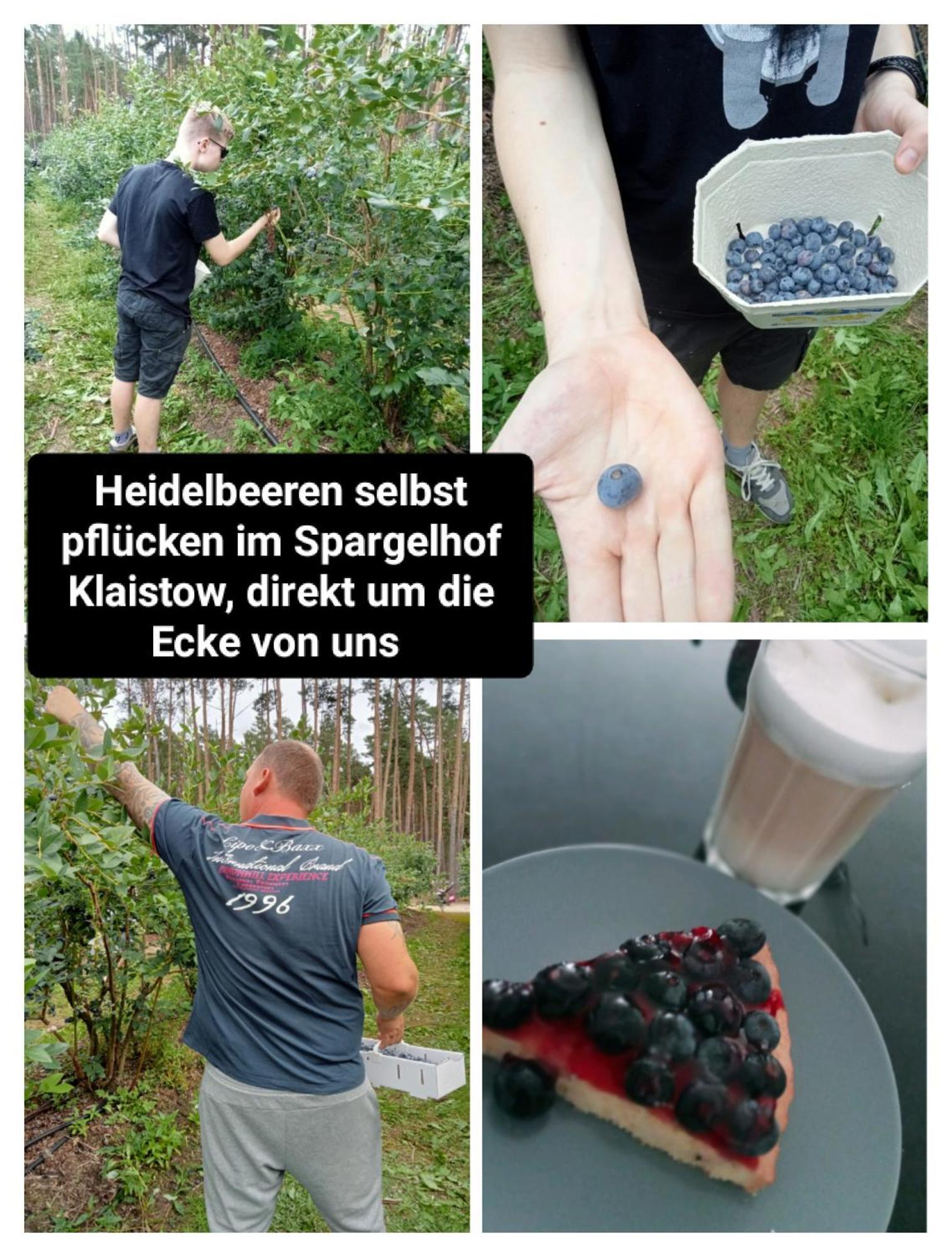 Ferienzimmer Waldzauber Borkwalde Kültér fotó